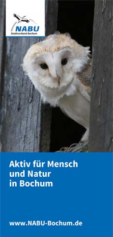 Nahaufnahme eines Schleiereulen-Kopfes, der aus einer dunklen Öffnung herausschaut, mit NABU-Logo oben links und Text 'Aktiv für Menschen und Natur in Bochum'