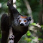 Vortrag Madagaskar