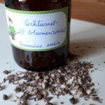 Getrocknete Schlüsselblumenwurzel